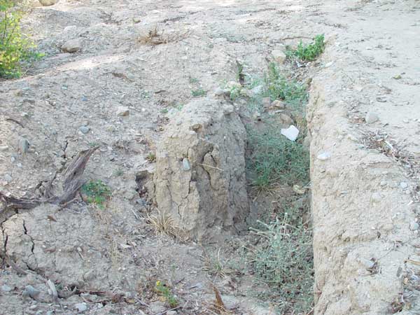 Excavated grave