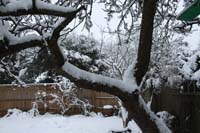 20091223_snow in Sonning_0332