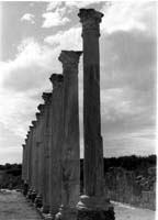 Salamis - 19712