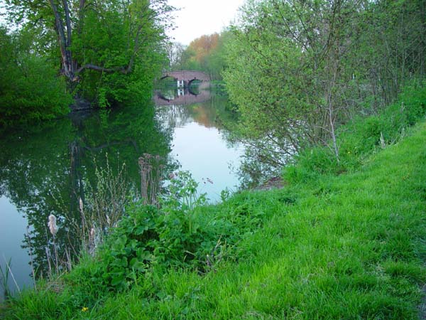 2006 May, Sonning Bridge