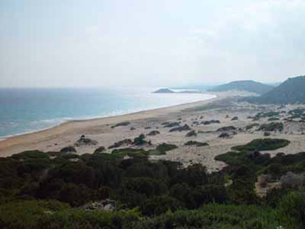 Turtle beach at Ap Andreas3