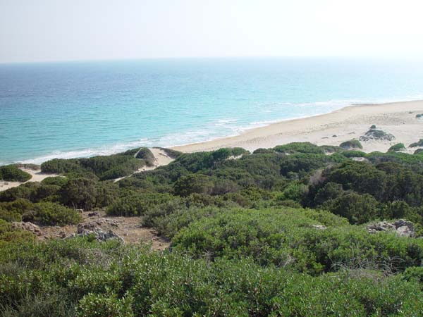 Turtle beach at Ap Andreas4