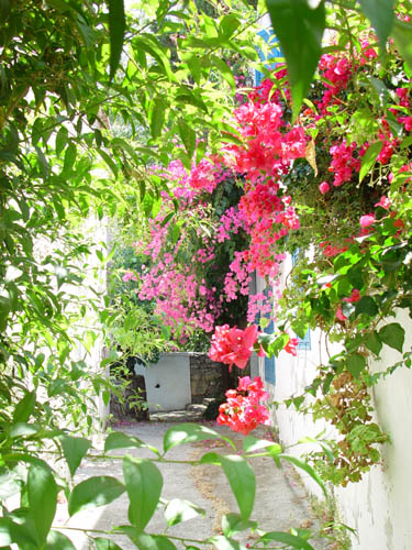 flowers3