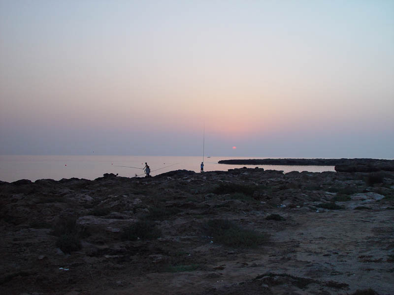 DSC03986
