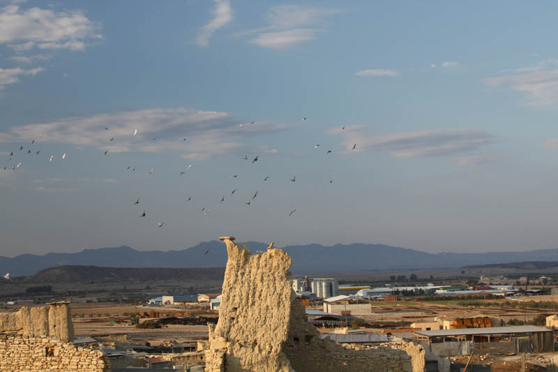 20081011_Larnaca district_0588