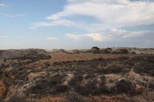 20081011_Larnaca district_0532