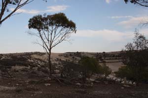 20081011_Larnaca district_0544