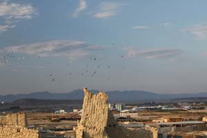 20081011_Larnaca district_0588