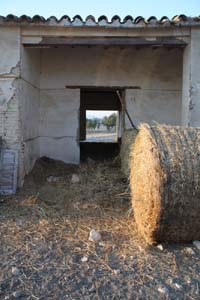 20081011_Larnaca district_0615