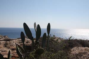 20081019_Cape Pyla_1460