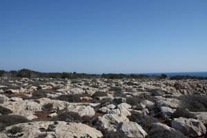 20081019_Cape Pyla_1467