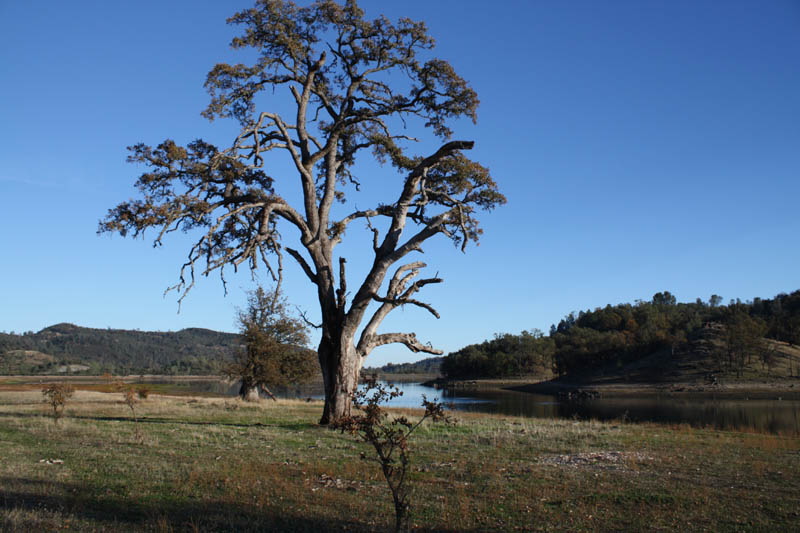 Napa Valley (32)