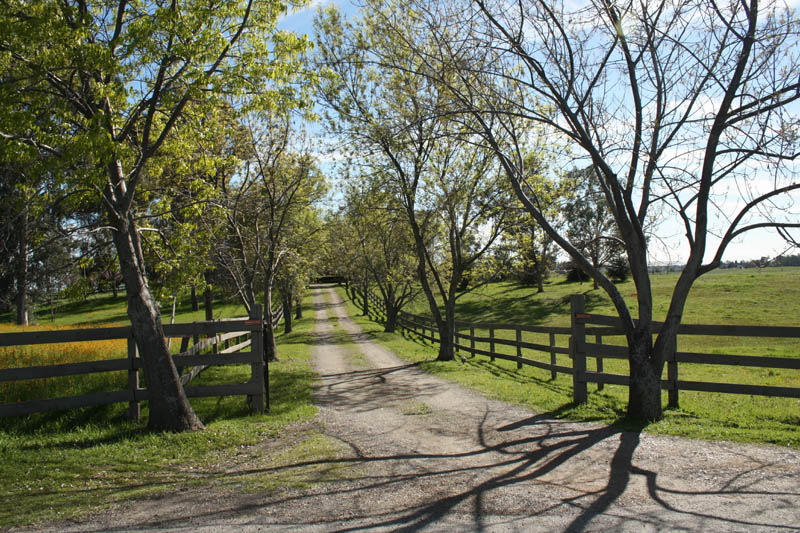 20090224_Around Fresno_2602