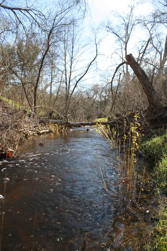 20090224_Around Fresno_2603