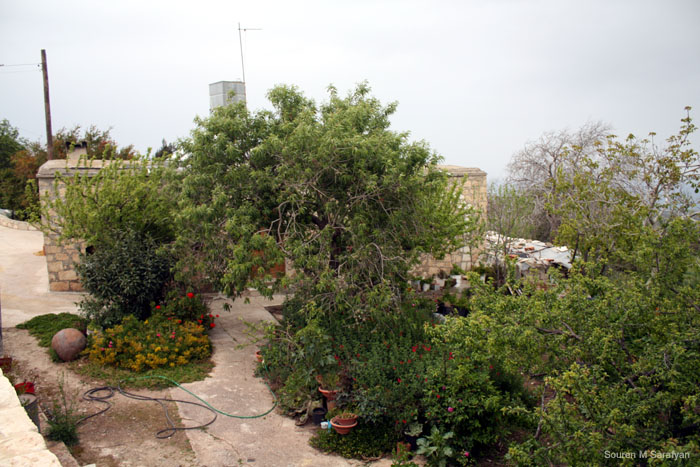 20100411_Cyprus_2010_0930