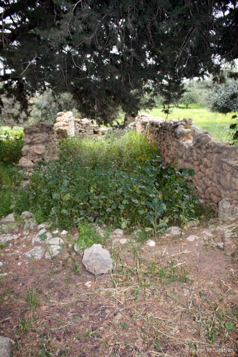 20100411_Cyprus_2010_0961