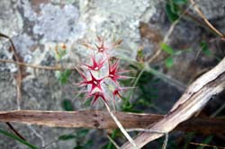 20100411_Cyprus_2010_1004